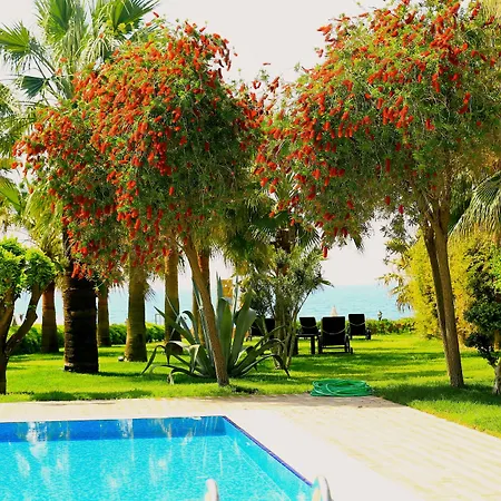 Augusto Boutique & 酒店 阿拉尼亚